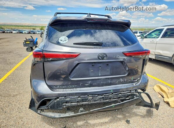 5TDKDRAH6PS509619 2023 TOYOTA HIGHLANDER Серый Вид сзади