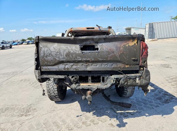 5TFCZ5AN0GX020342 2016 TOYOTA TACOMA Burn Rear view