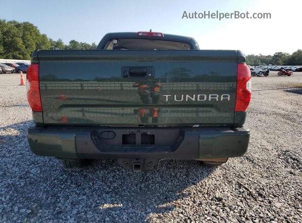 5TFEY5F11MX287325 2021 TOYOTA TUNDRA Зеленый Вид сзади