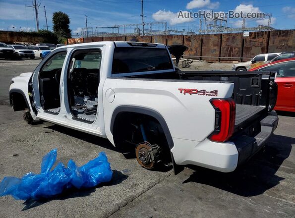 5TFJA5DB0PX121106 2023 TOYOTA TUNDRA White Задня ліва чверть
