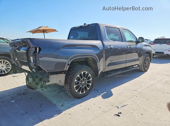 5TFJA5DB5SX328020 2025 TOYOTA TUNDRA Charcoal Tył prawy