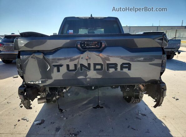 5TFJA5DB5SX328020 2025 TOYOTA TUNDRA Charcoal Widok z tyłu