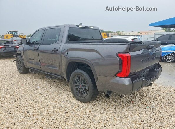5TFLA5DB7SX308103 2025 TOYOTA TUNDRA Gray Հետևի ձախ