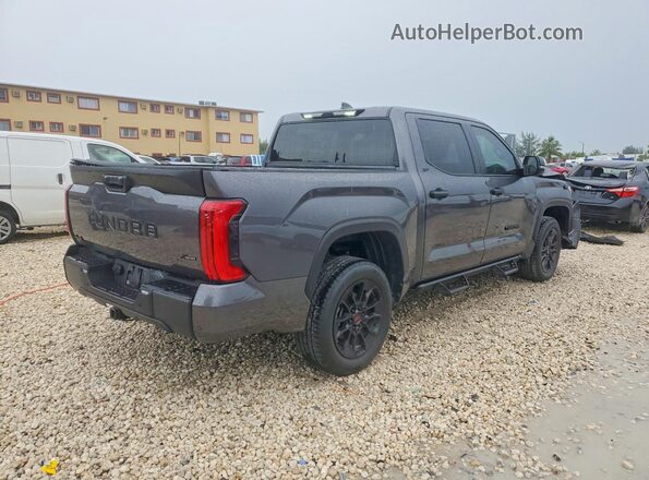 5TFLA5DB7SX308103 2025 TOYOTA TUNDRA Gray Հետևի աջ