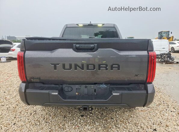 5TFLA5DB7SX308103 2025 TOYOTA TUNDRA Gray Հետևի տեսք