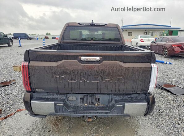 5TFMA5AB5NX001218 2022 TOYOTA TUNDRA Коричневый Вид сзади