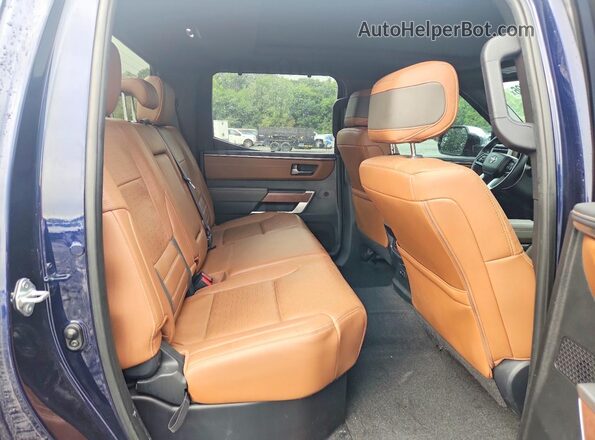 5TFMA5AB7PX023563 2023 TOYOTA TUNDRA Синий Вид задних сидений