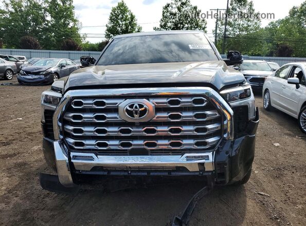 5TFMA5DB1RX209498 2024 TOYOTA TUNDRA Black Vista frontal