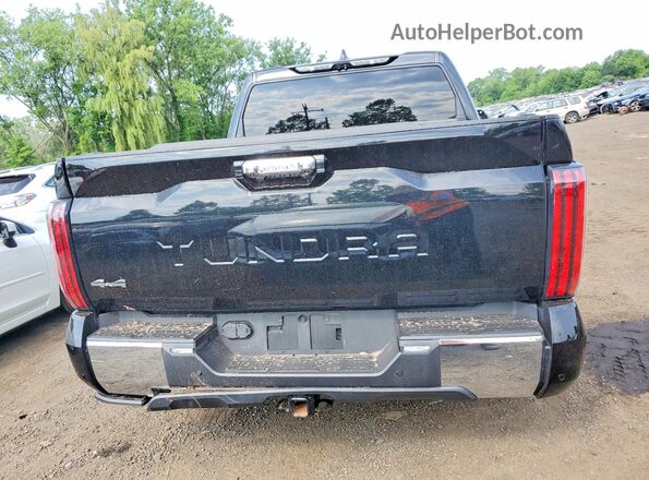 5TFMA5DB1RX209498 2024 TOYOTA TUNDRA Black Vista trasera