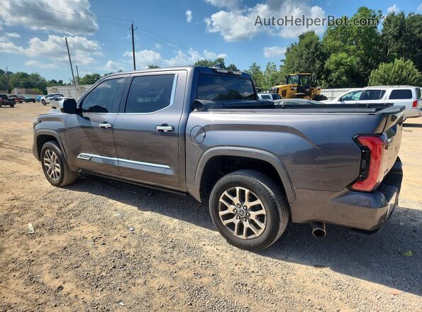 5TFMA5DB9PX120193 2023 TOYOTA TUNDRA Серый Задняя левая четверть