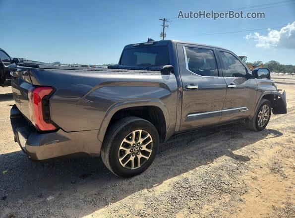 5TFMA5DB9PX120193 2023 TOYOTA TUNDRA Серый Задняя правая четверть