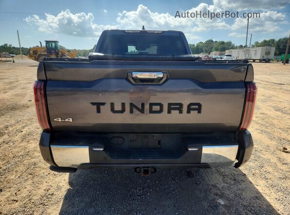 5TFMA5DB9PX120193 2023 TOYOTA TUNDRA Серый Вид сзади