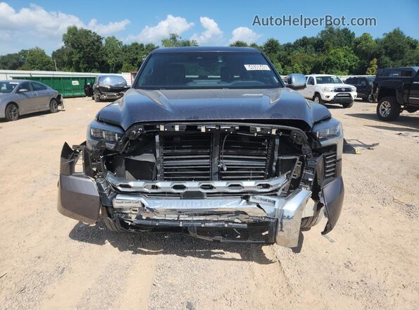 5TFMA5DB9PX120193 2023 TOYOTA TUNDRA Серый Панорамный вид салона 360°
