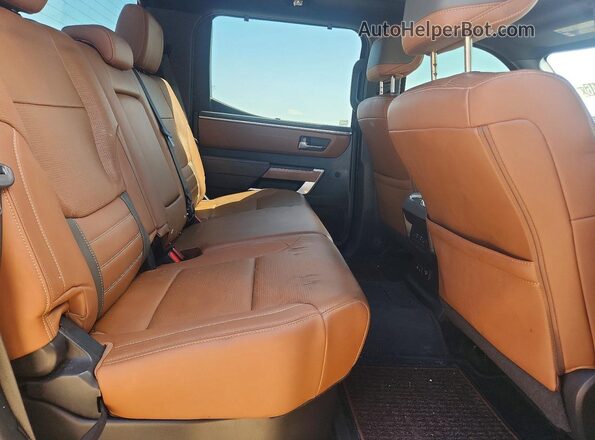 5TFMA5DB9PX120193 2023 TOYOTA TUNDRA Серый Вид задних сидений