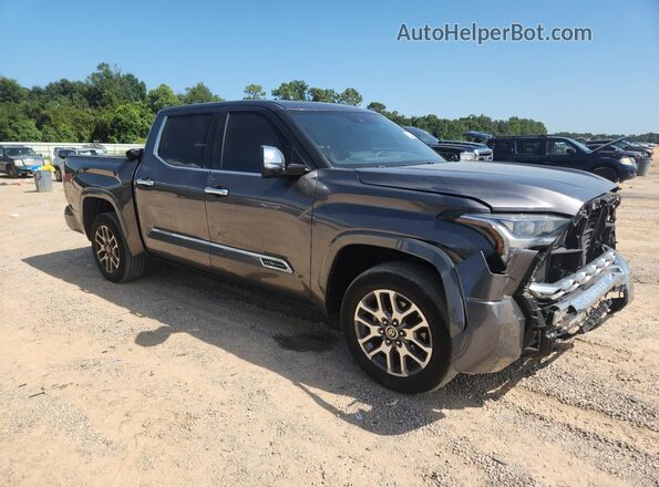 5TFMA5DB9PX120193 2023 TOYOTA TUNDRA Серый 