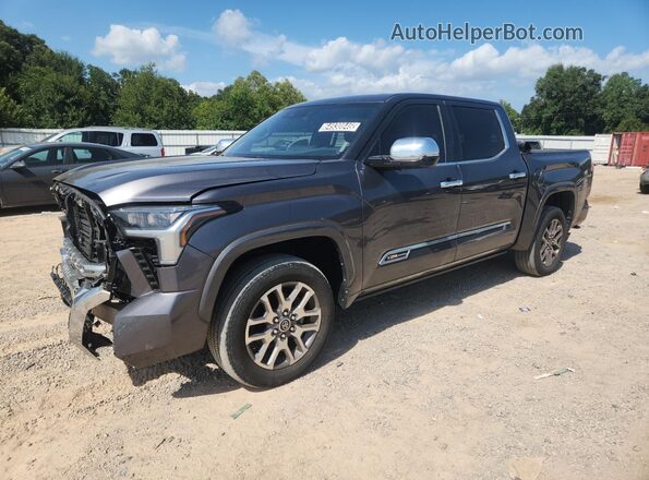 5TFMA5DB9PX120193 2023 TOYOTA TUNDRA Серый 