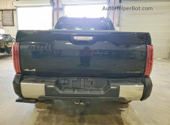 5TFMC5DB6SX109798 2025 TOYOTA TUNDRA Black Widok z tyłu