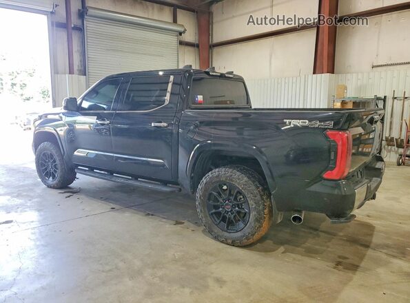 5TFMC5DB6SX109798 2025 TOYOTA TUNDRA Black Tył lewy