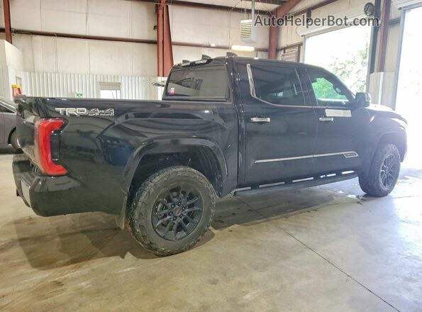 5TFMC5DB6SX109798 2025 TOYOTA TUNDRA Black Tył prawy