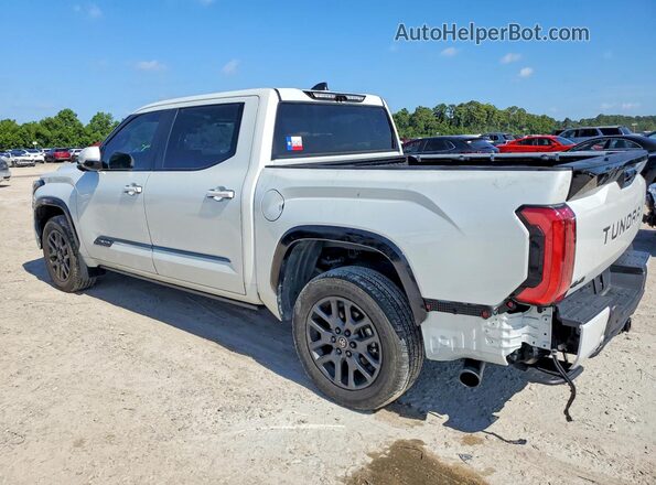 5TFNA5DB8SX292700 2025 TOYOTA TUNDRA White Հետևի ձախ