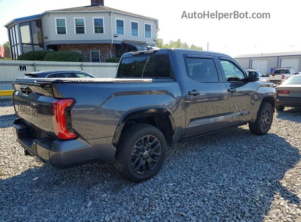 5TFNC5DB6RX052310 2024 TOYOTA TUNDRA Gray Հետևի աջ