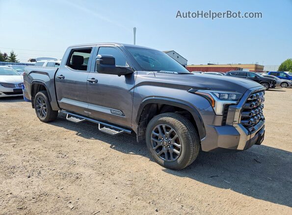 5TFNC5DB8PX027650 2023 TOYOTA TUNDRA Серый Передняя правая четверть