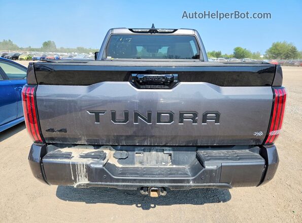 5TFNC5DB8PX027650 2023 TOYOTA TUNDRA Серый Вид сзади