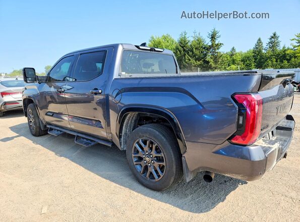 5TFNC5DB8PX027650 2023 TOYOTA TUNDRA Серый Задняя левая четверть
