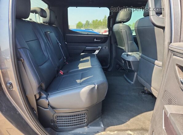 5TFNC5DB8PX027650 2023 TOYOTA TUNDRA Серый Вид задних сидений