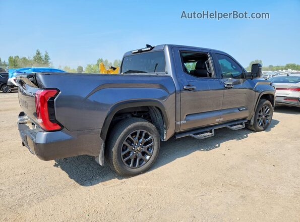 5TFNC5DB8PX027650 2023 TOYOTA TUNDRA Серый Задняя правая четверть