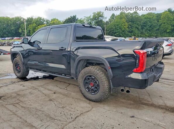 5TFPC5DBXSX087673 2025 TOYOTA TUNDRA Black Trasero izquierdo