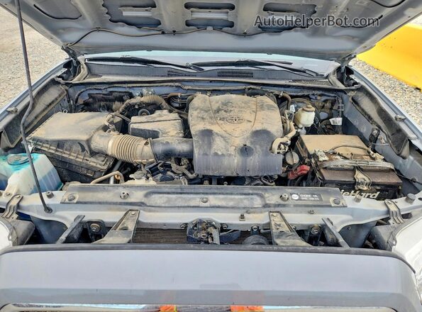 5TFSZ5AN2KX182977 2019 TOYOTA TACOMA Gray Вид задньої частини салону