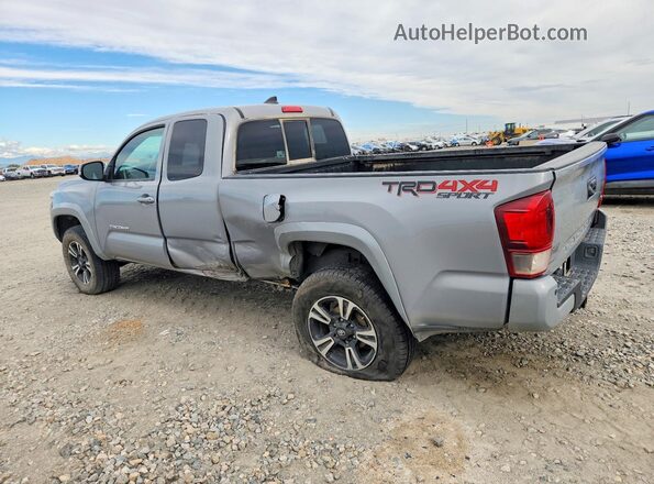 5TFSZ5AN2KX182977 2019 TOYOTA TACOMA Gray Задня ліва чверть