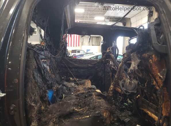 5TFWA5DB1RX155161 2024 TOYOTA TUNDRA Black Вид задніх сидінь