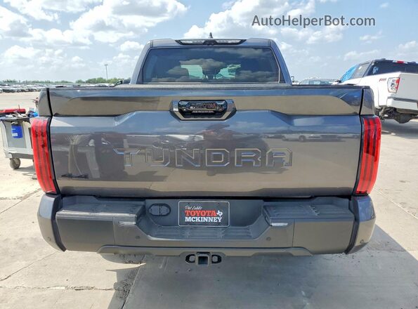 5TFWA5DB2RX188413 2024 TOYOTA TUNDRA Gray Widok z tyłu