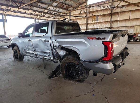 5TFWA5DB4SX239397 2025 TOYOTA TUNDRA Серый Задняя левая четверть