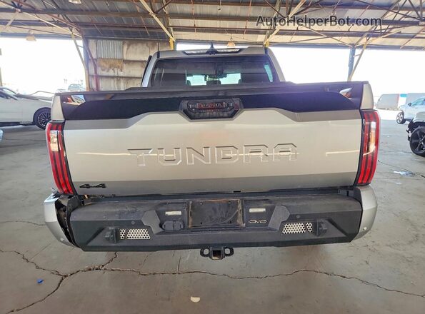 5TFWA5DB4SX239397 2025 TOYOTA TUNDRA Серый Вид сзади