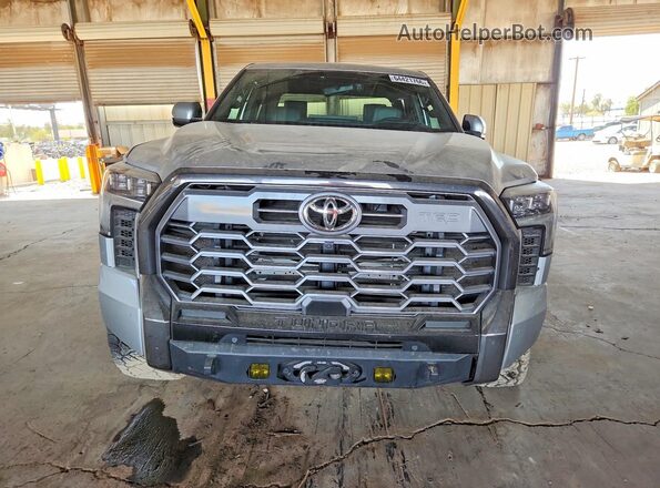 5TFWA5DB4SX239397 2025 TOYOTA TUNDRA Серый Вид спереди