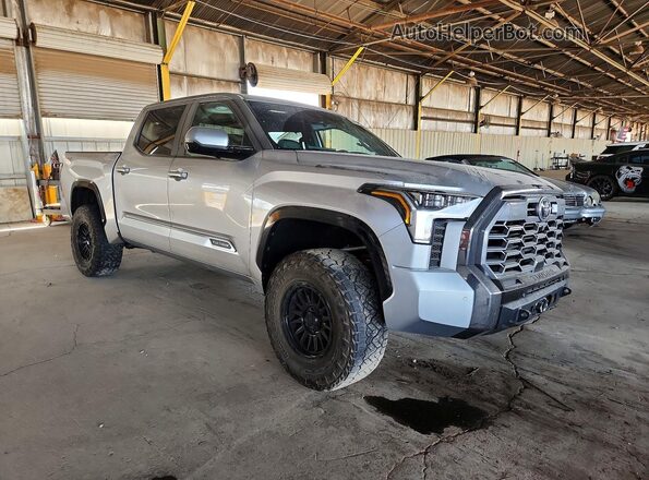 5TFWA5DB4SX239397 2025 TOYOTA TUNDRA Серый Передняя правая четверть