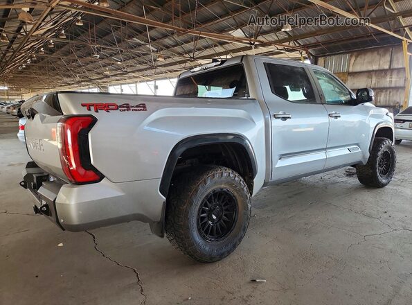 5TFWA5DB4SX239397 2025 TOYOTA TUNDRA Серый Задняя правая четверть