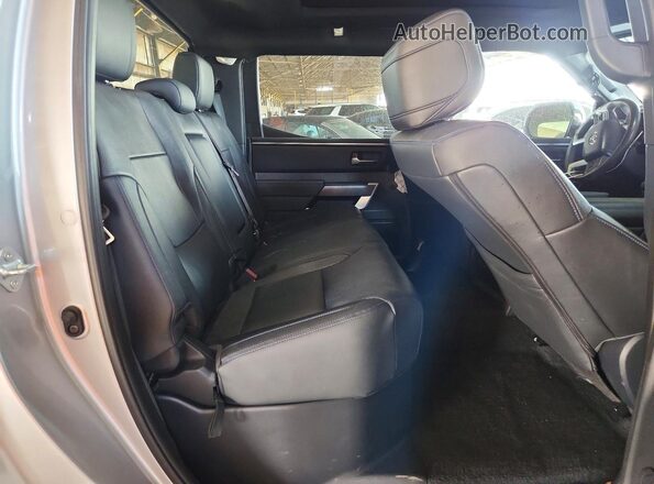 5TFWA5DB4SX239397 2025 TOYOTA TUNDRA Серый Вид задних сидений