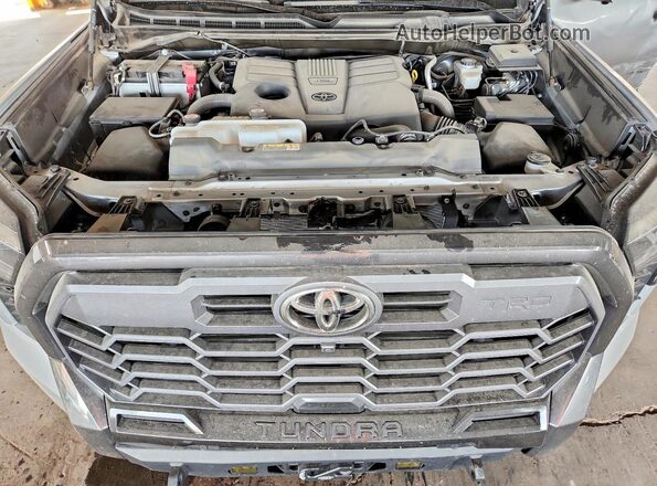 5TFWA5DB4SX239397 2025 TOYOTA TUNDRA Серый Вид задней части салона