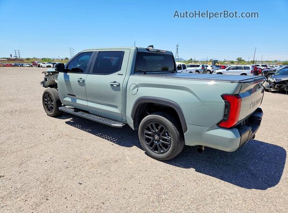 5TFWA5DB9SX244174 2025 TOYOTA TUNDRA Серый Задняя левая четверть