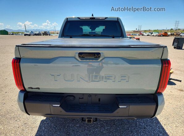 5TFWA5DB9SX244174 2025 TOYOTA TUNDRA Серый Вид сзади