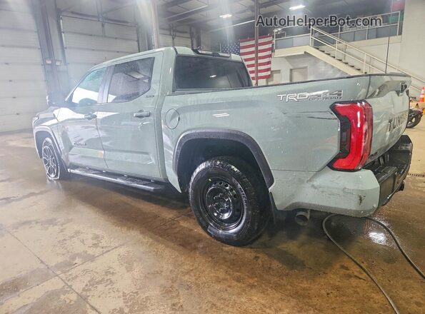 5TFWA5DB9SX306902 2025 TOYOTA TUNDRA Серый Задняя левая четверть