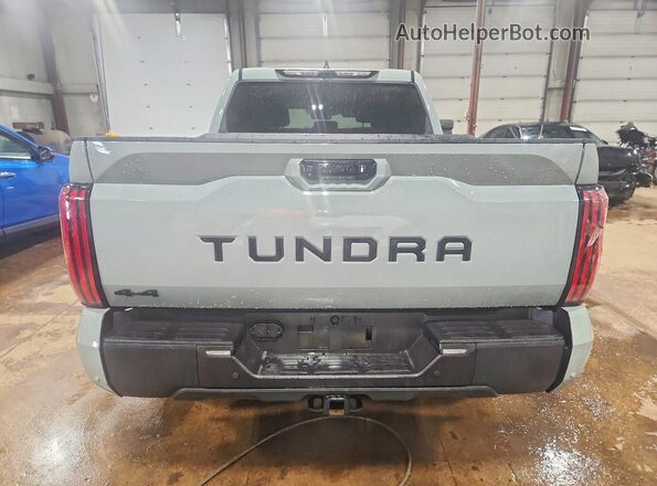 5TFWA5DB9SX306902 2025 TOYOTA TUNDRA Серый Вид сзади