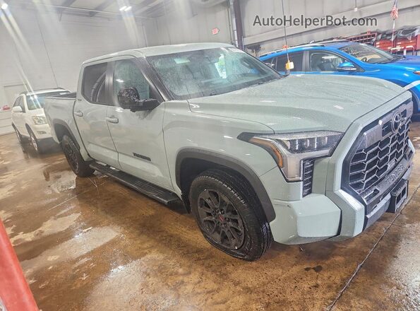 5TFWA5DB9SX306902 2025 TOYOTA TUNDRA Серый Передняя правая четверть