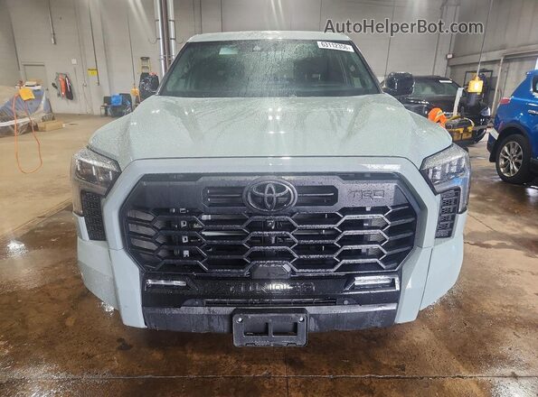 5TFWA5DB9SX306902 2025 TOYOTA TUNDRA Серый Вид спереди