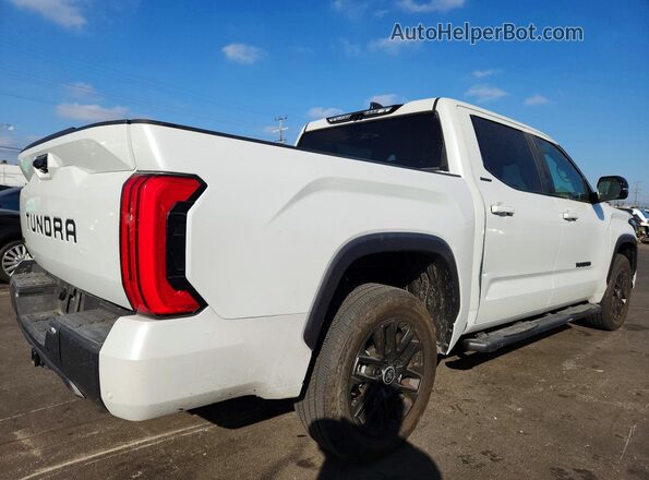 5TFWC5DB8RX051888 2024 TOYOTA TUNDRA White უკანა მარჯვენა