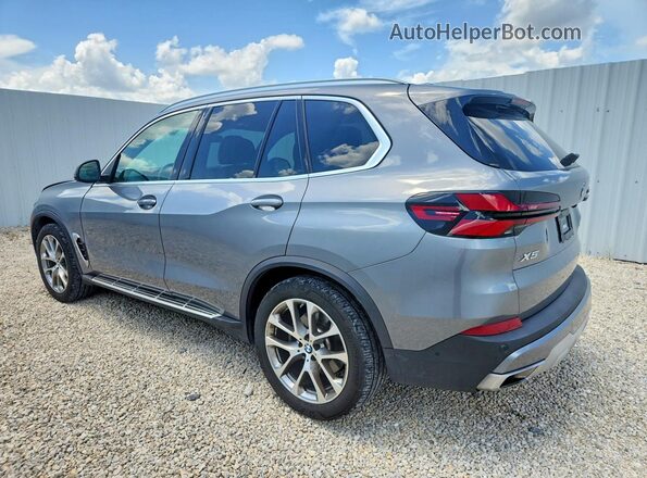 5UX23EU01S9Z42899 2025 BMW X5 Silver Հետևի ձախ